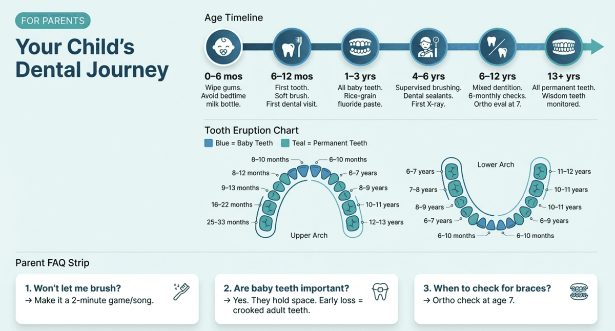 Child's Dental Journey infographic